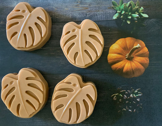 Autumn Monstera Soap